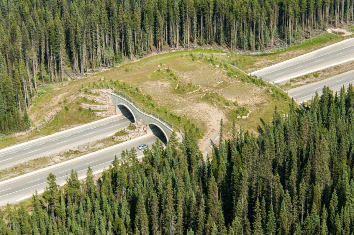 banff national park