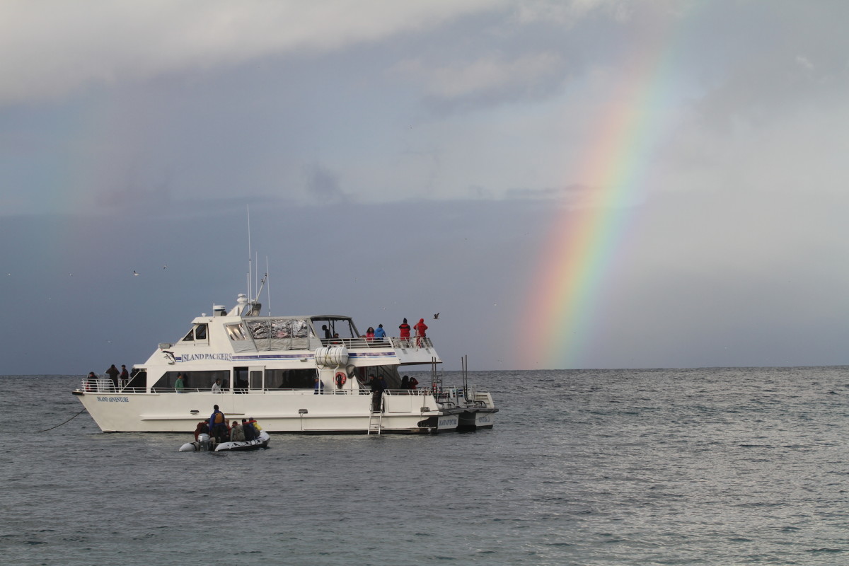 IslandPackers