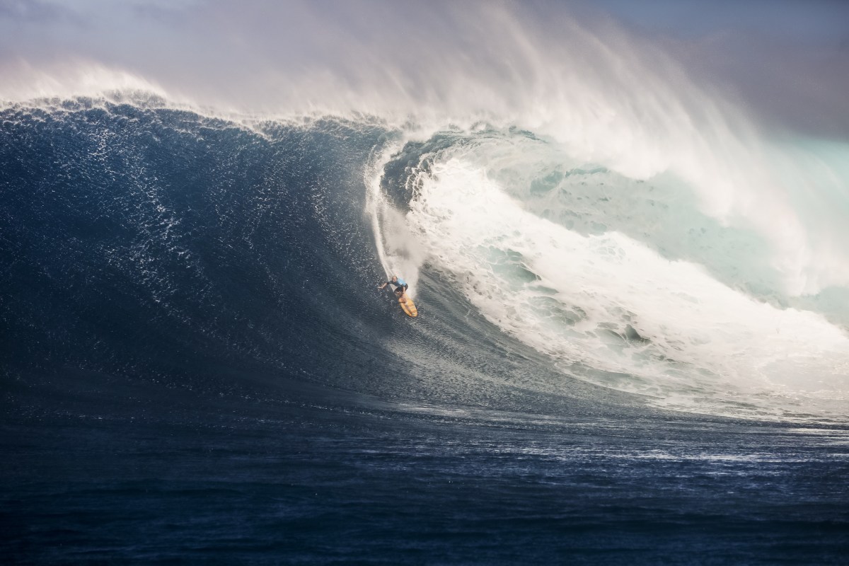 jaws contest