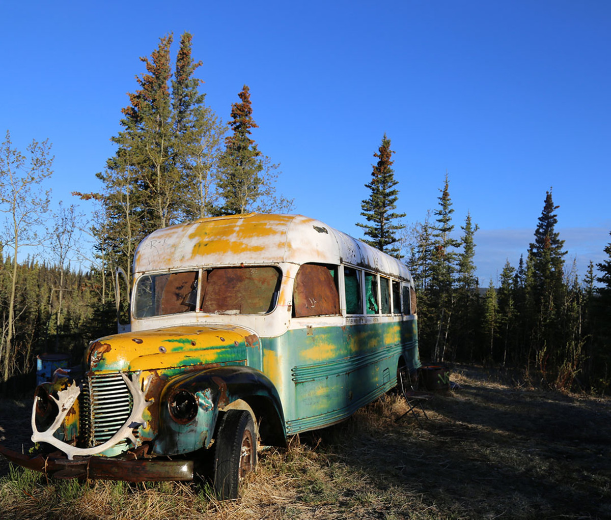The Alaskan forest where Chris McCandless spent his last days in 1993