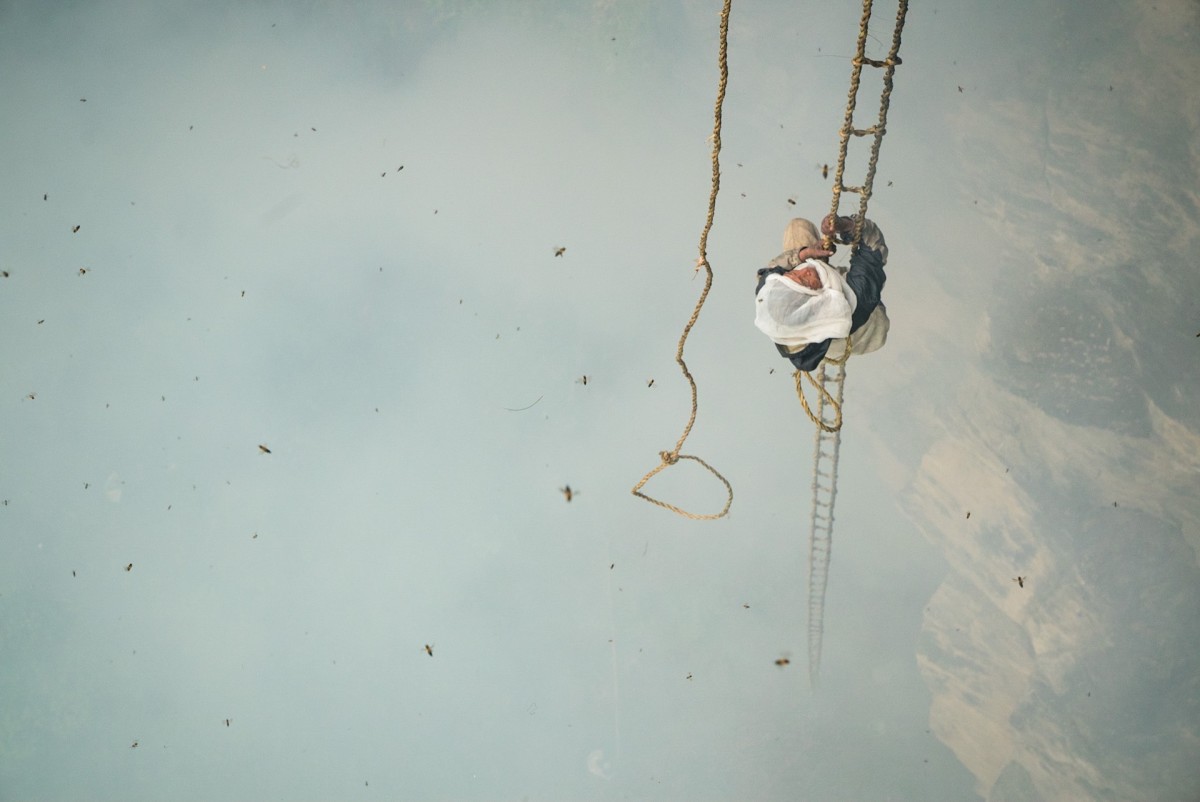 Renan Ozturk_Honey Hunter