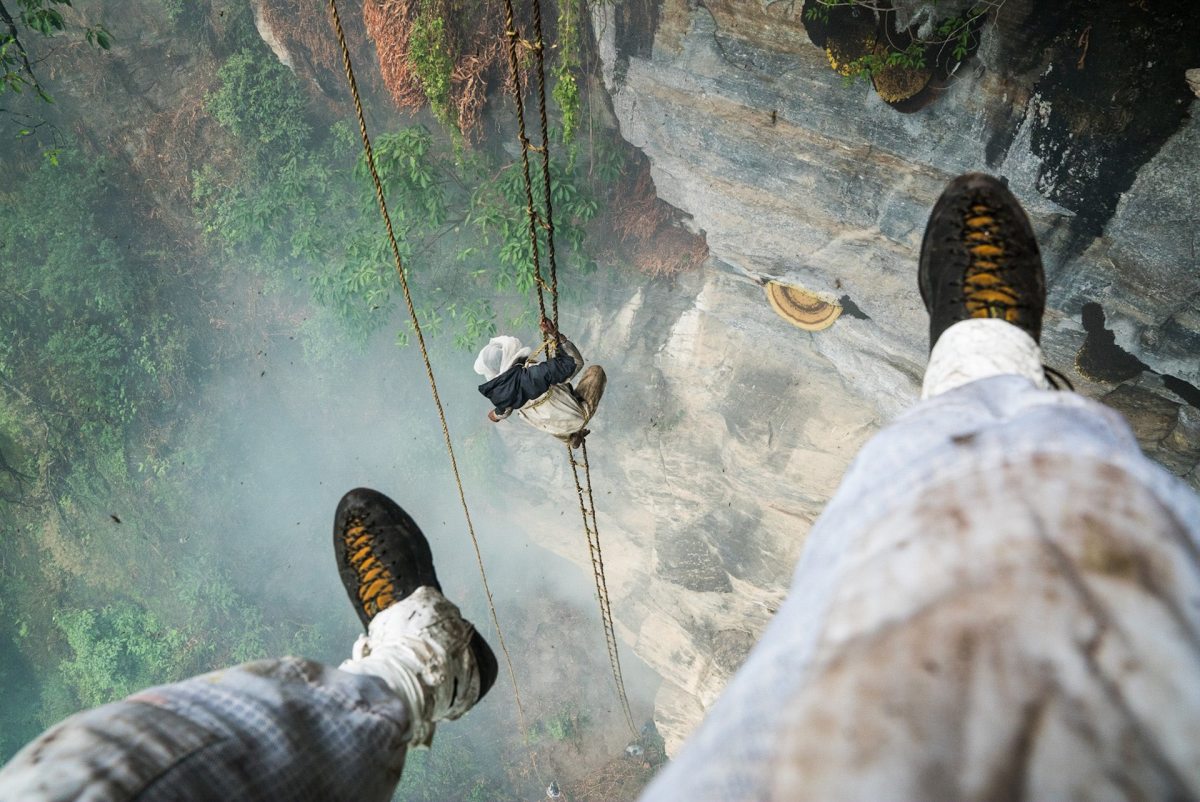 Renan Ozturk_honey hunter