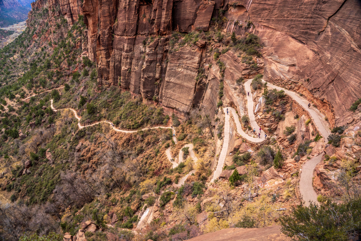 Zion trails