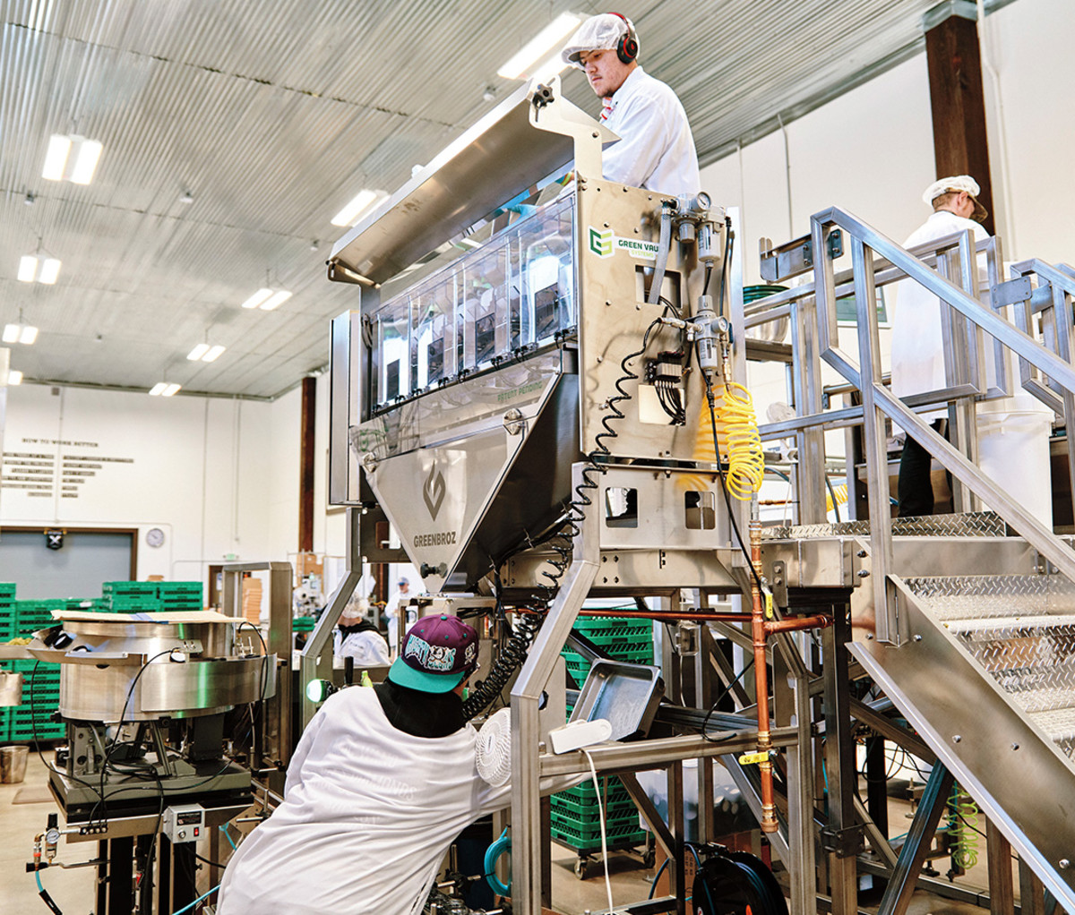 Des travailleurs avec une machine qui pèse précisément le cannabis.