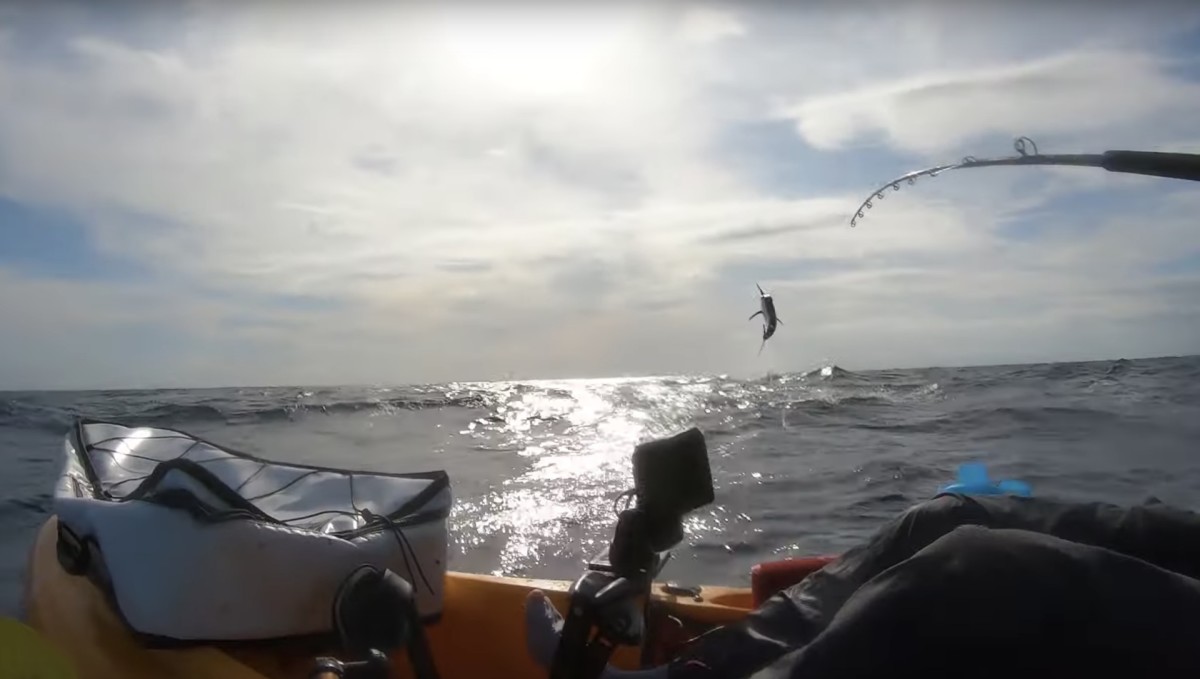 Fish_YakFishTV