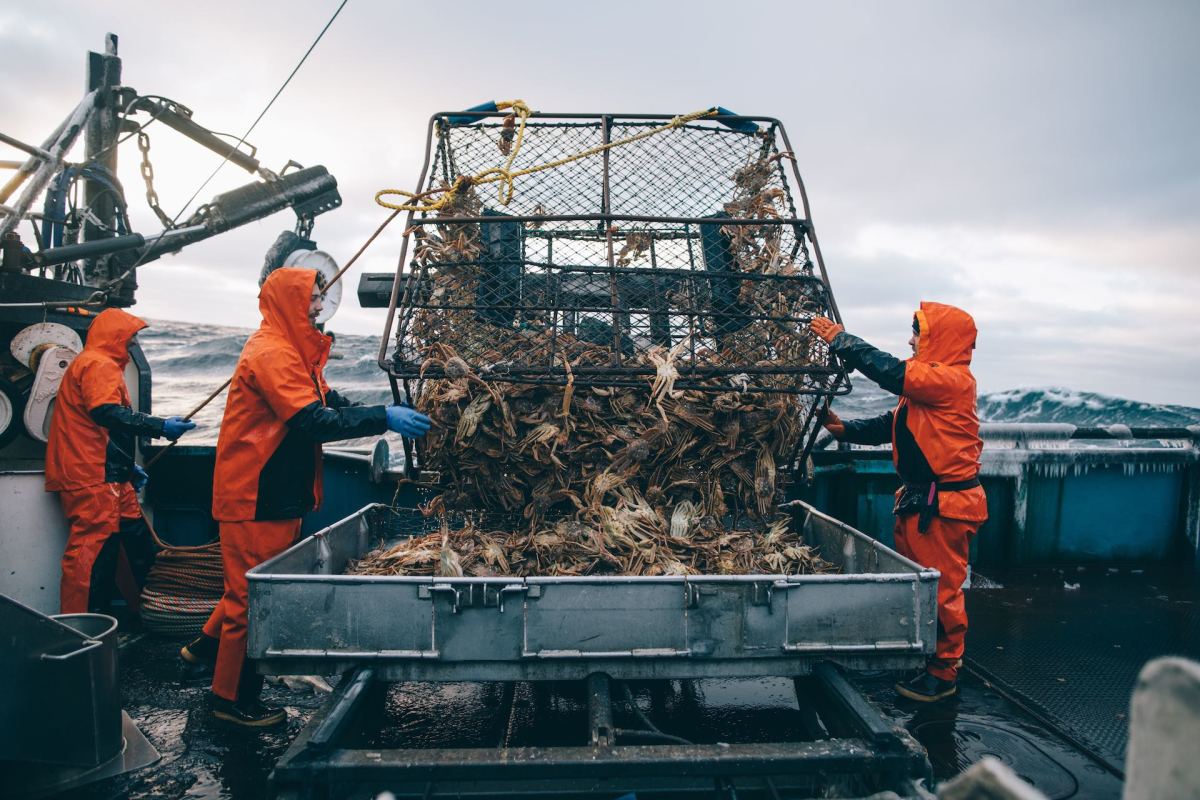 crab boat