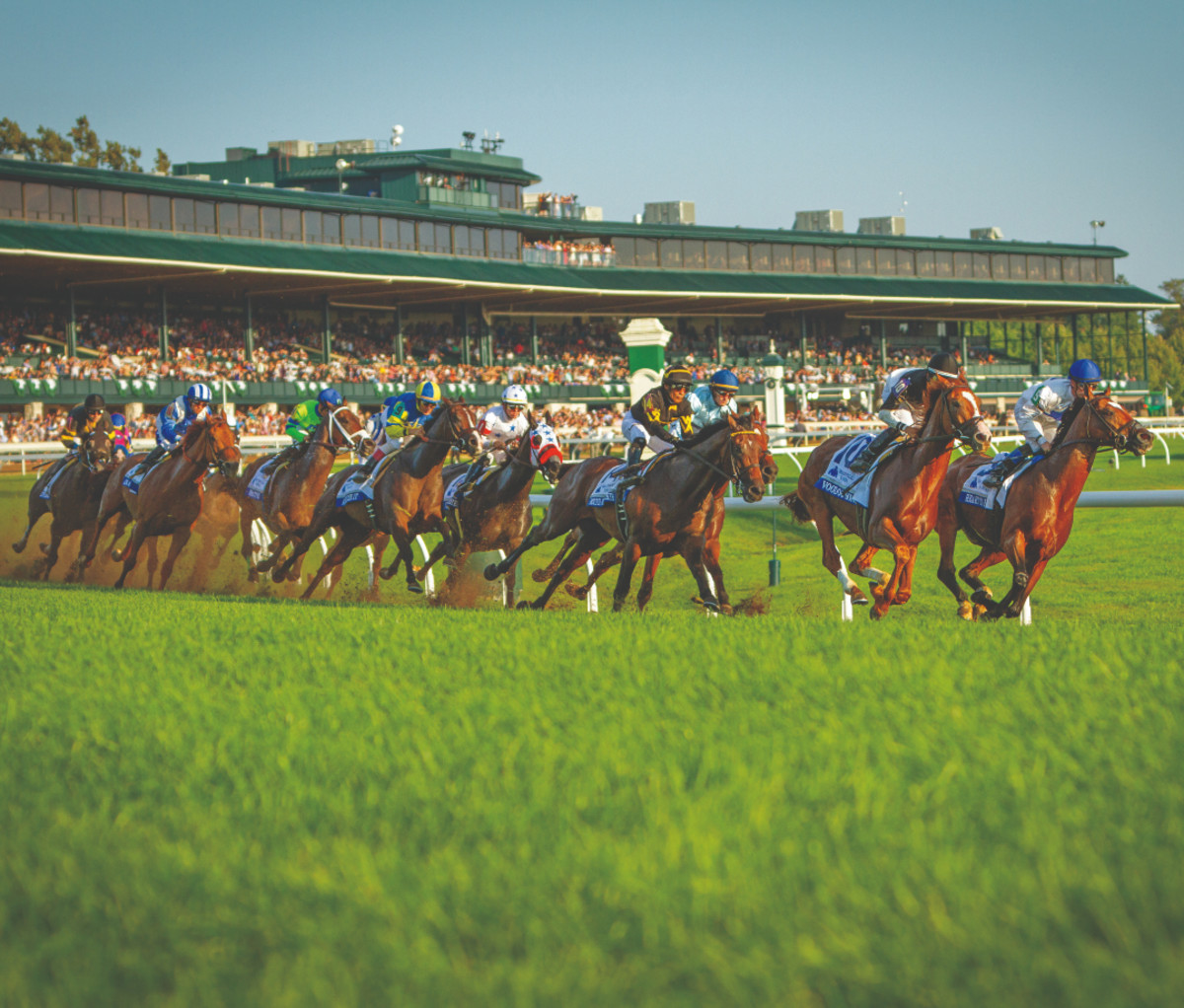 Horses in full stride at Keeneland Race Course