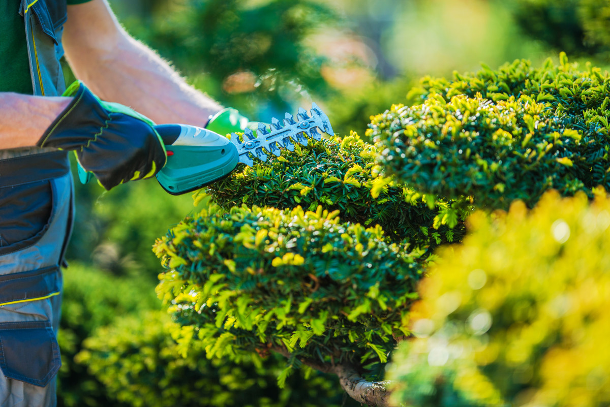 landscaping