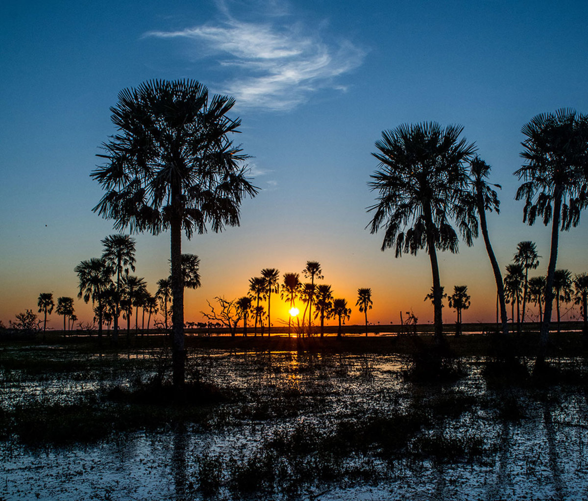 Iberá Nature Reserve's wetlands in Argentina