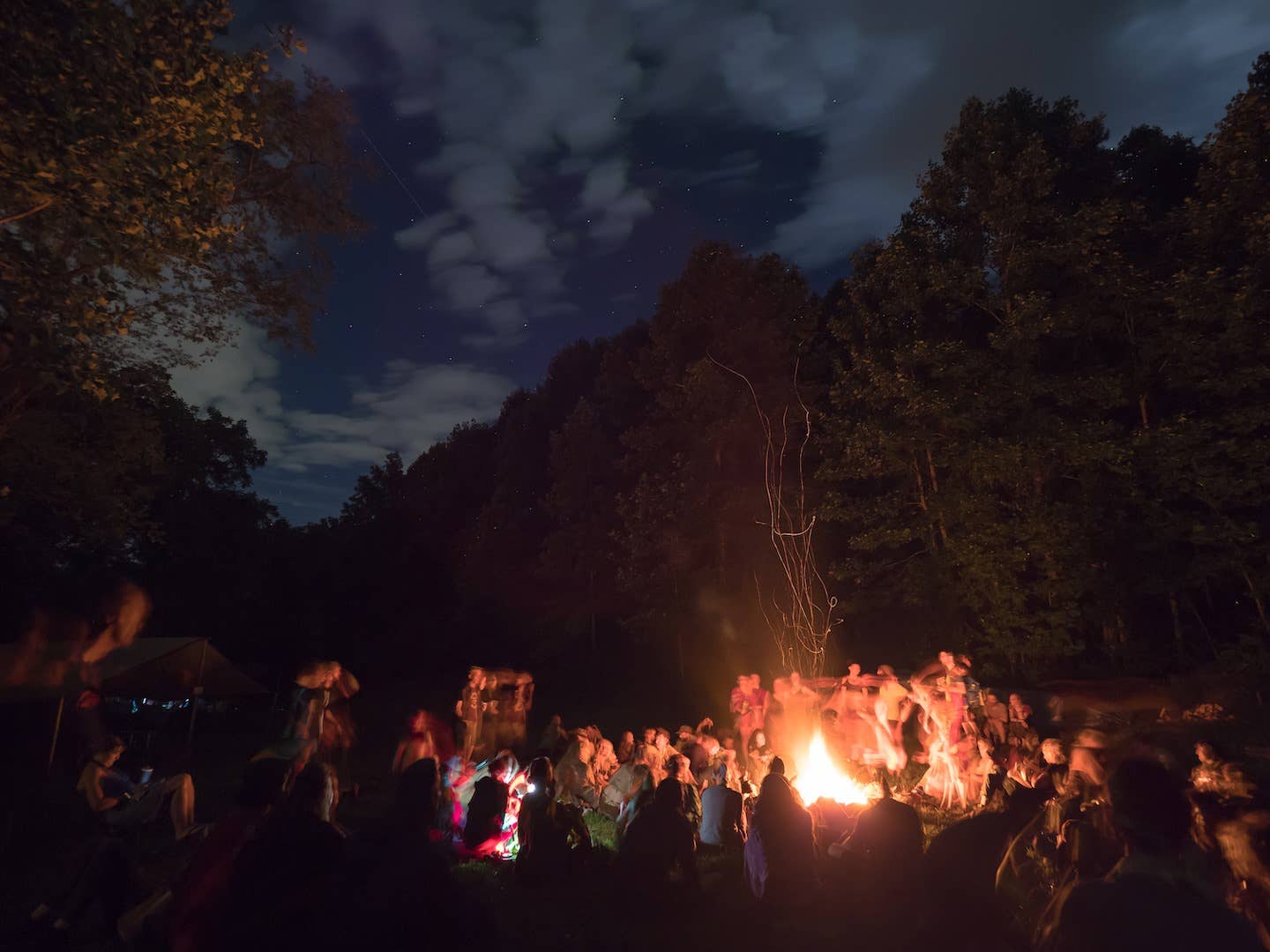 Firefly Gathering
