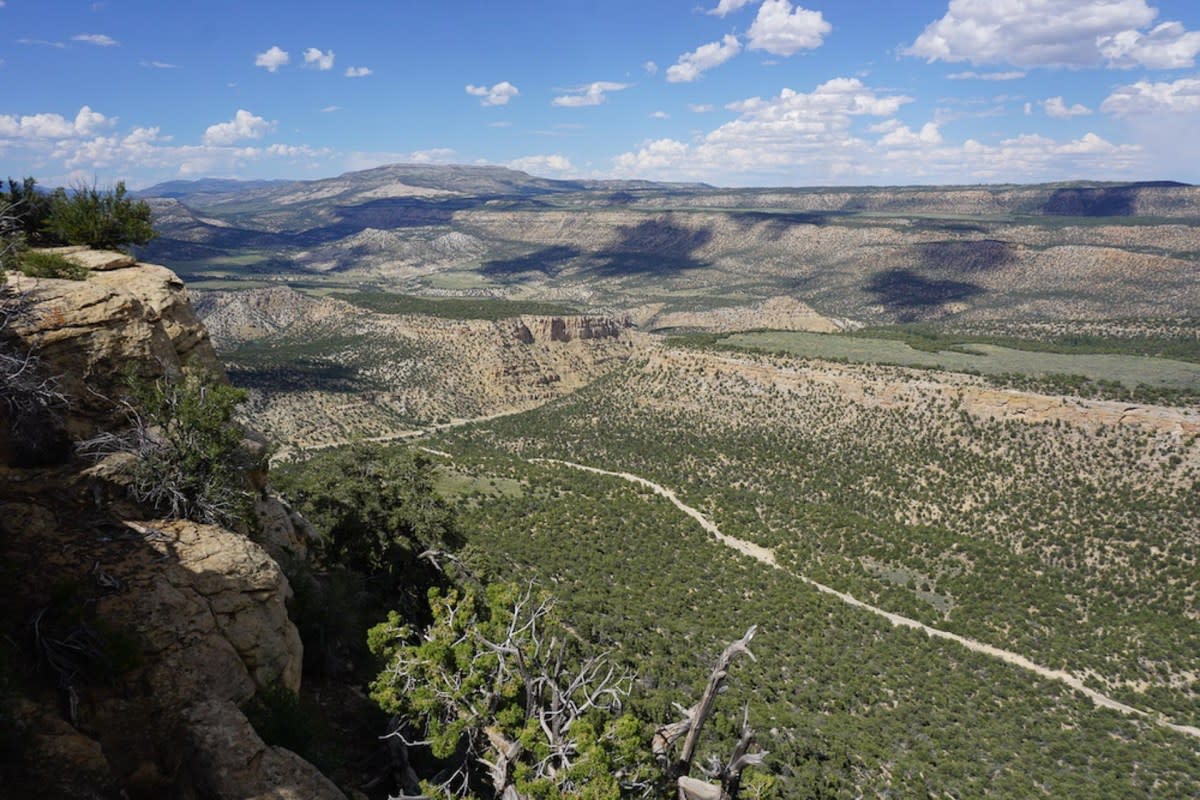 bears ears