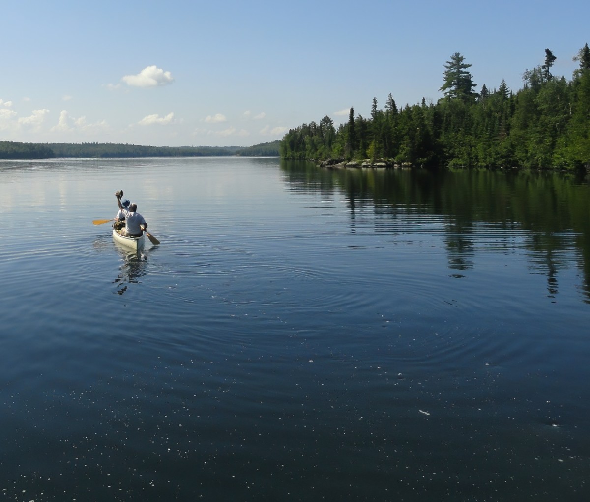 People in a Canoe Wave Goodbye to the Shore in the Boundary Waters Canoe Area Wilderness, Minnesota, USA
