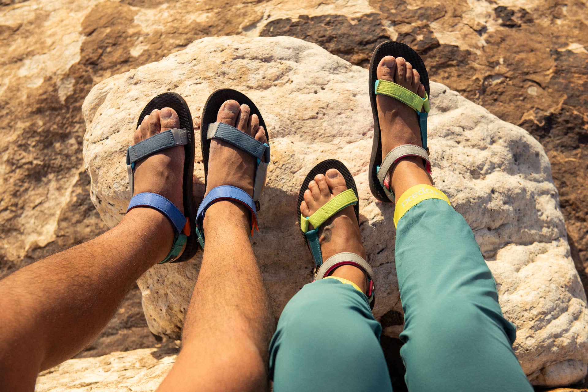 teva stockists near me