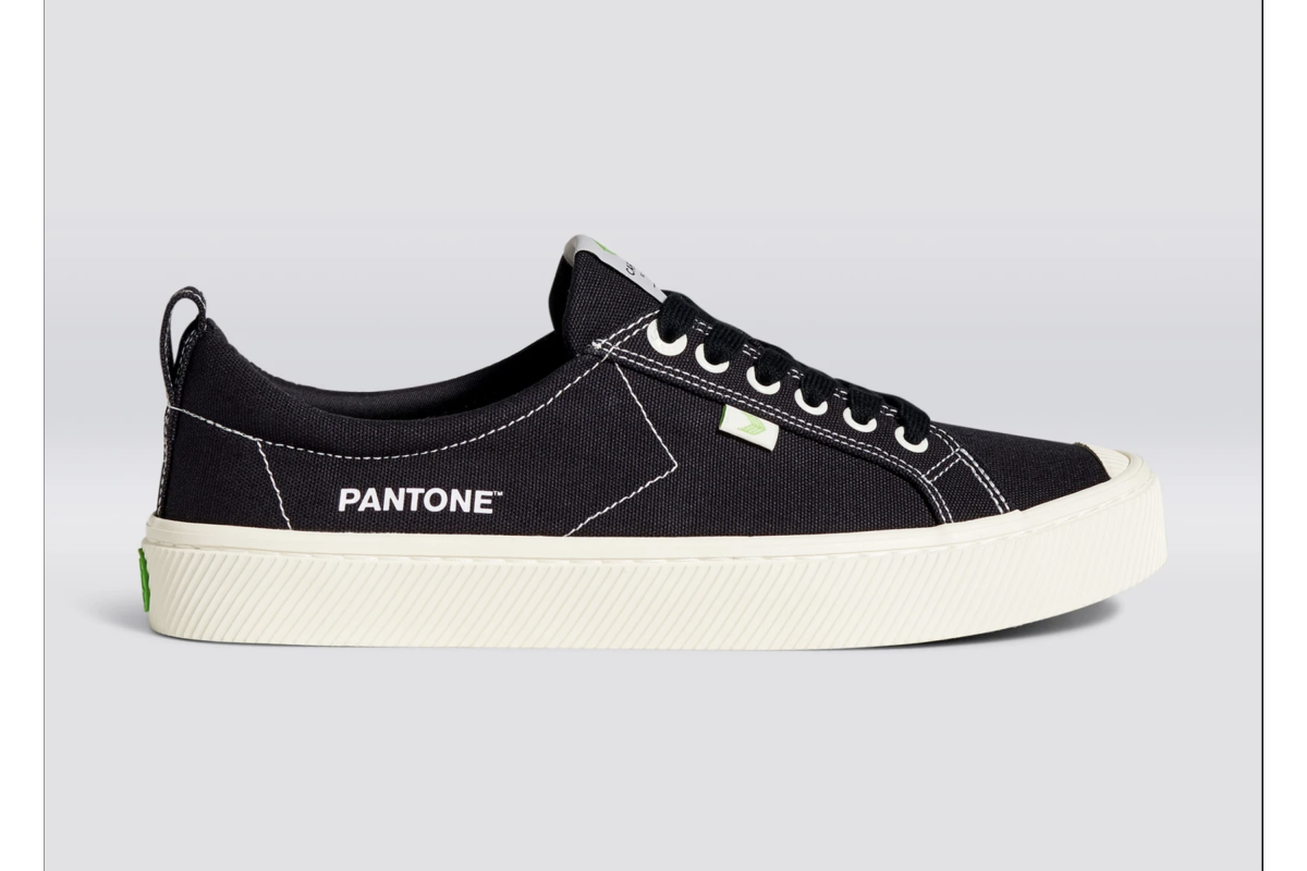 Pantone Moonless Night Canvas Sneakers