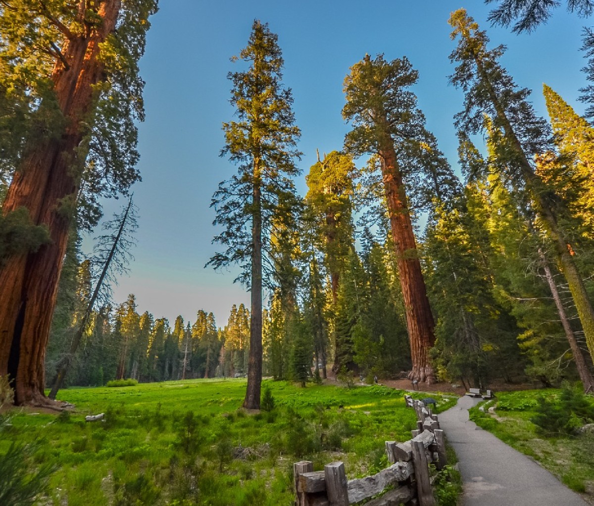 Sequoia and Kings Canyon National Parks