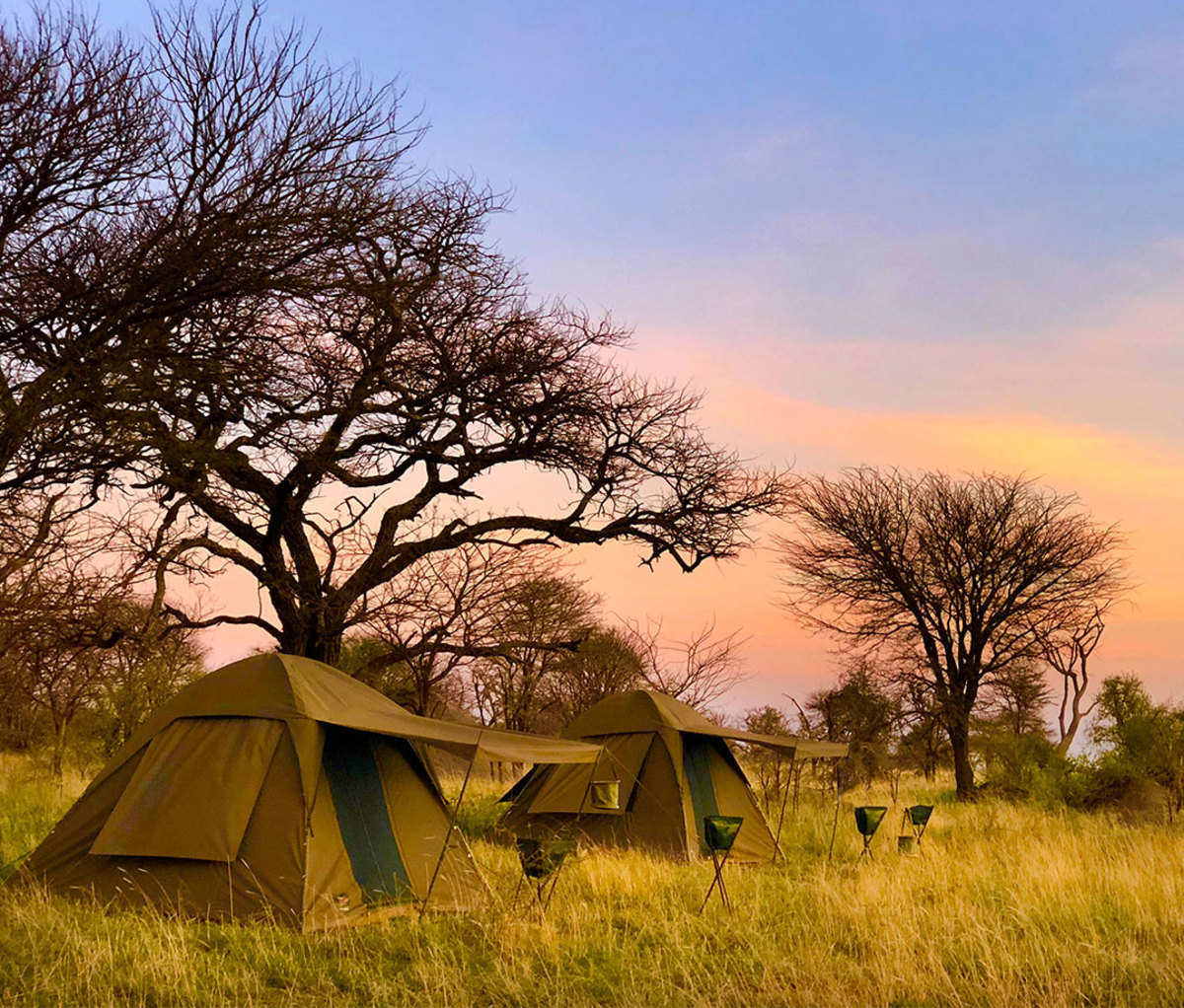 A backcountry tent camp in the Serengeti.