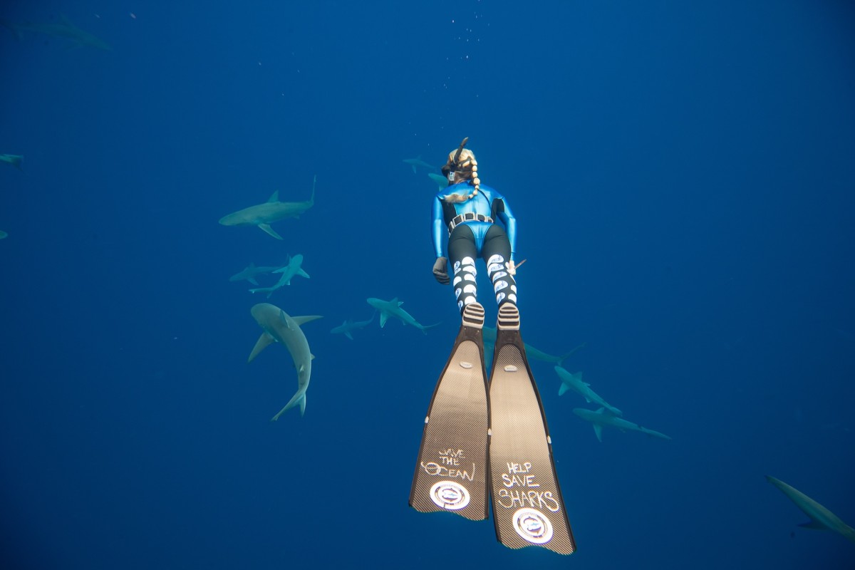 Swimming with Sharks Ocean Ramsay Hawaii great white sharks