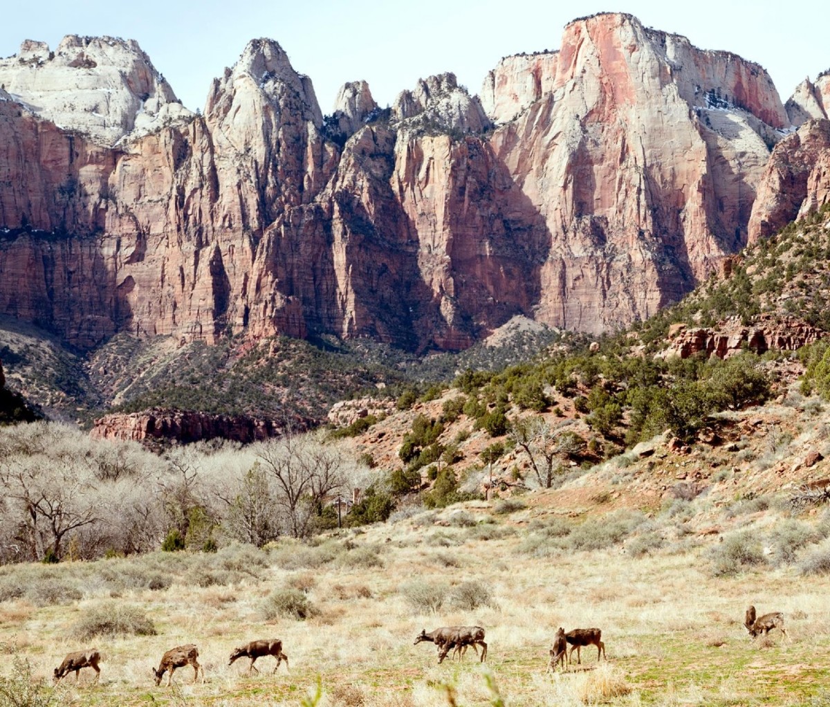 Zion National Park