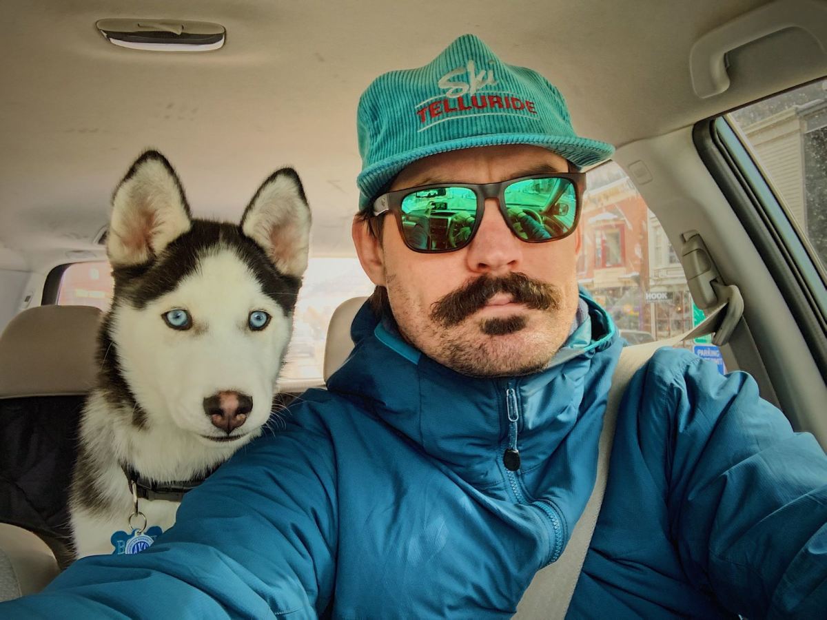 husky puppy dog selfie