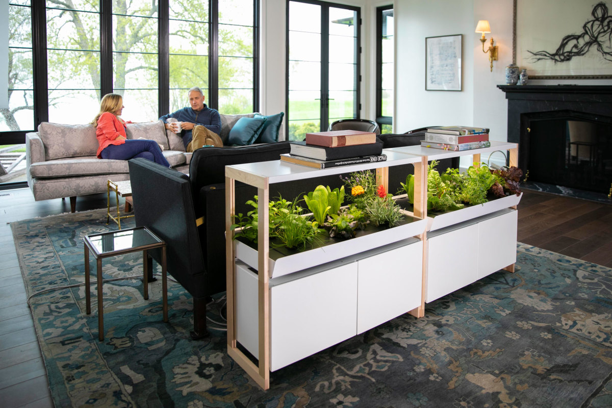 This Indoor Garden System Is the Perfect Solution for All Gardeners