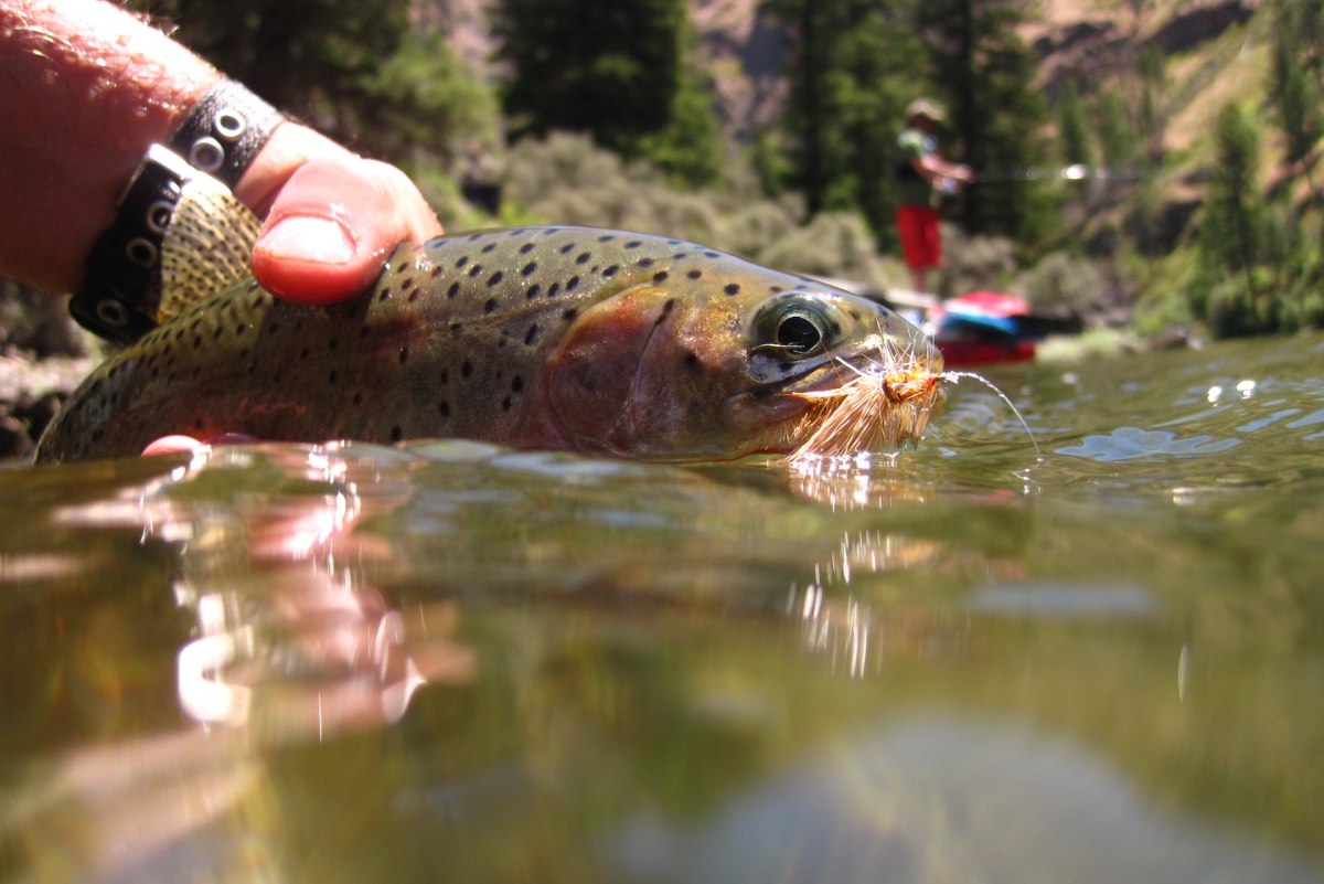 salmon fishing from a raft on Idaho's Middle Fork Salmon