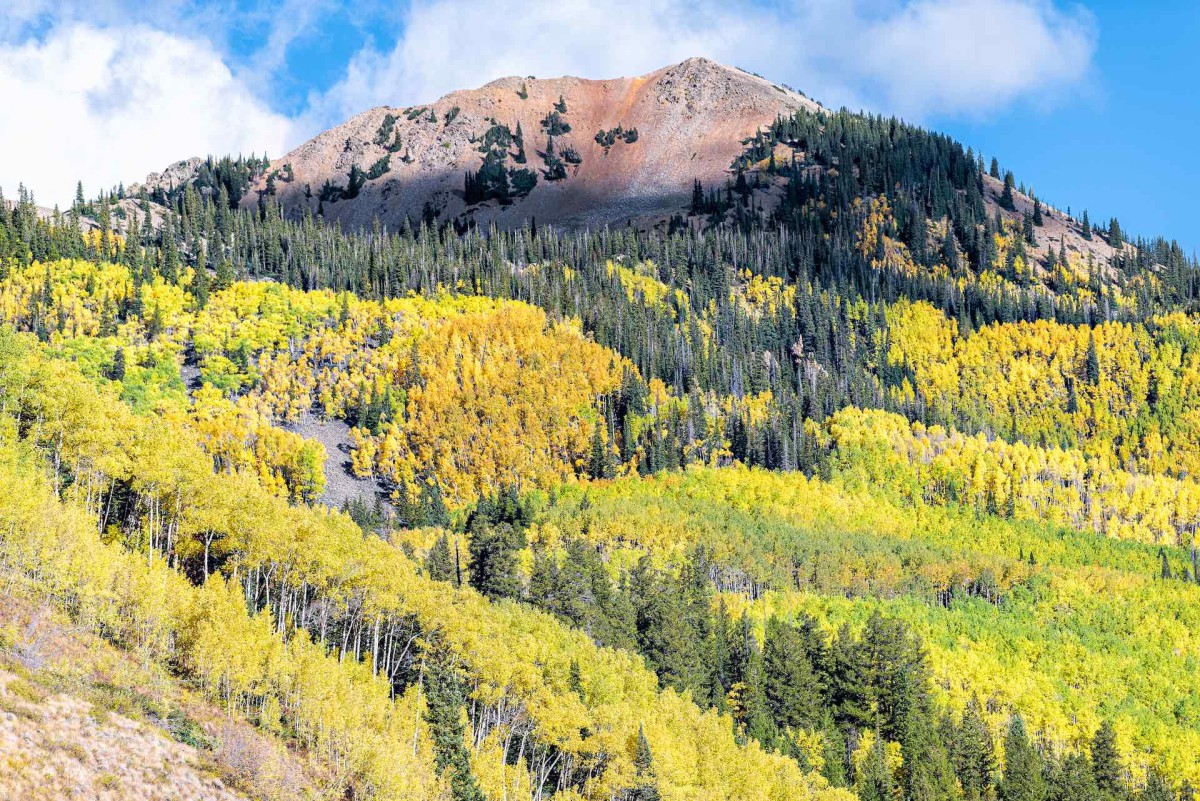 Castle Creek Colorado fall foliage hiking.