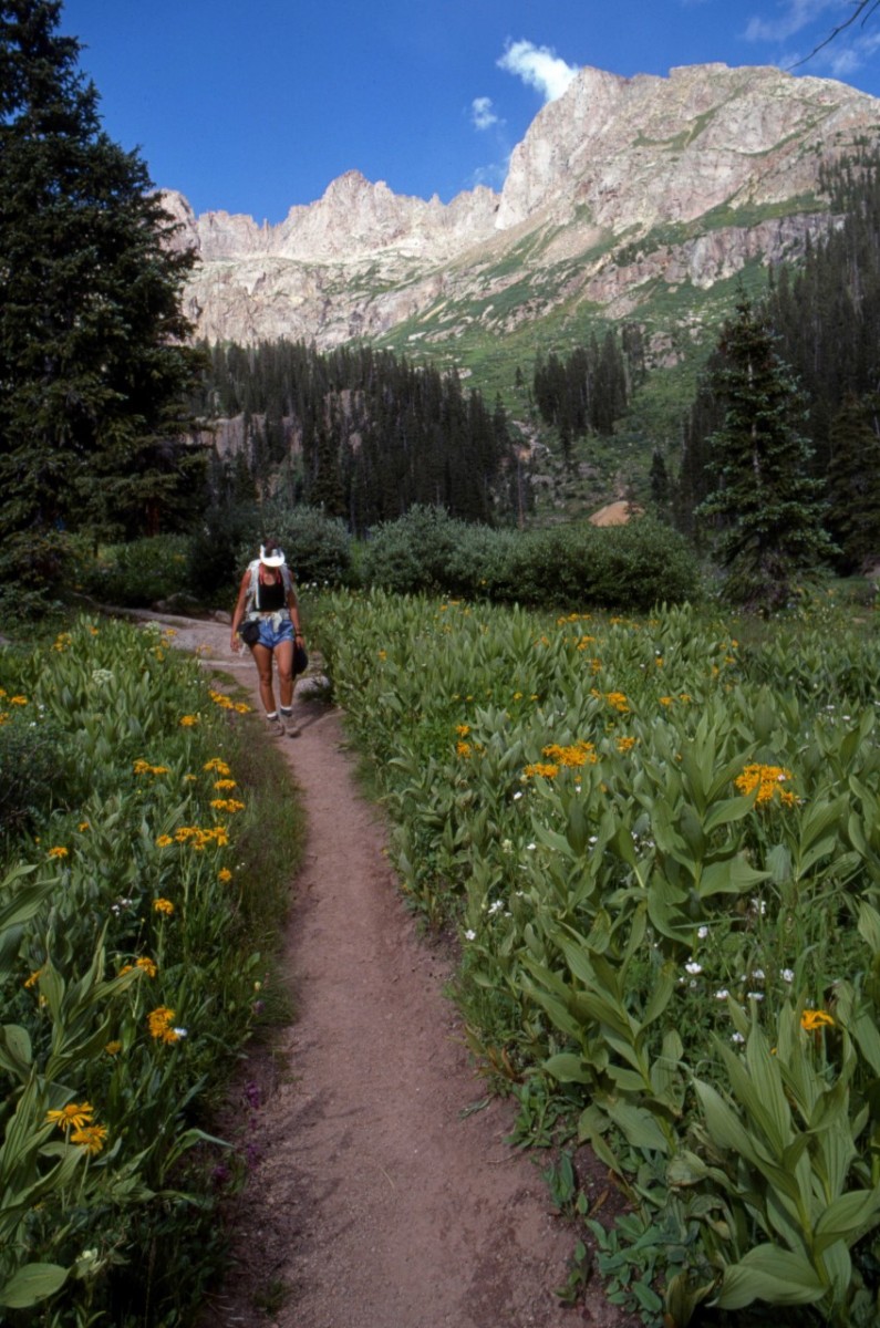 Chicago Basin Windom Peak hiking 14ers