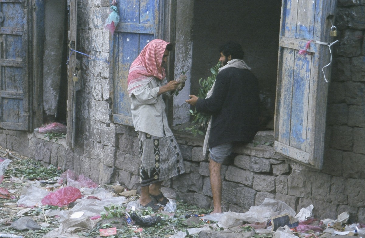 Men pick over qat in a souq near Aden.