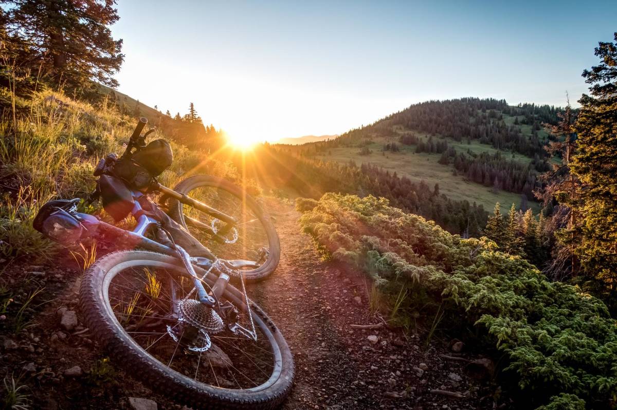 bikepacking bags