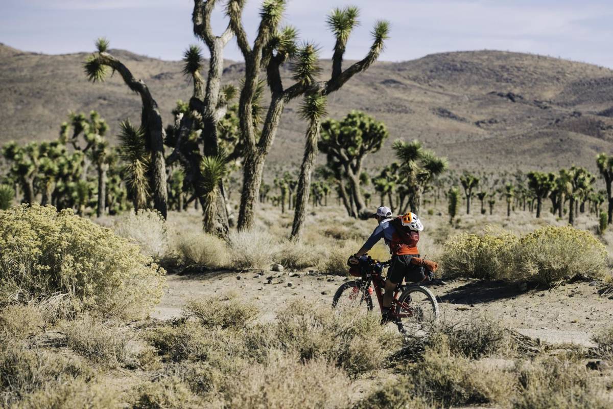 news other than politics mountain bike expedition across death valley Non political news