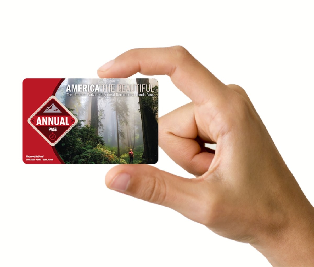 National Park Pass