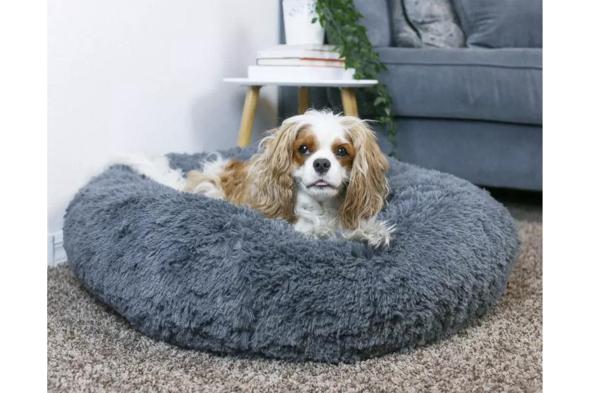Cozy Calming Bed