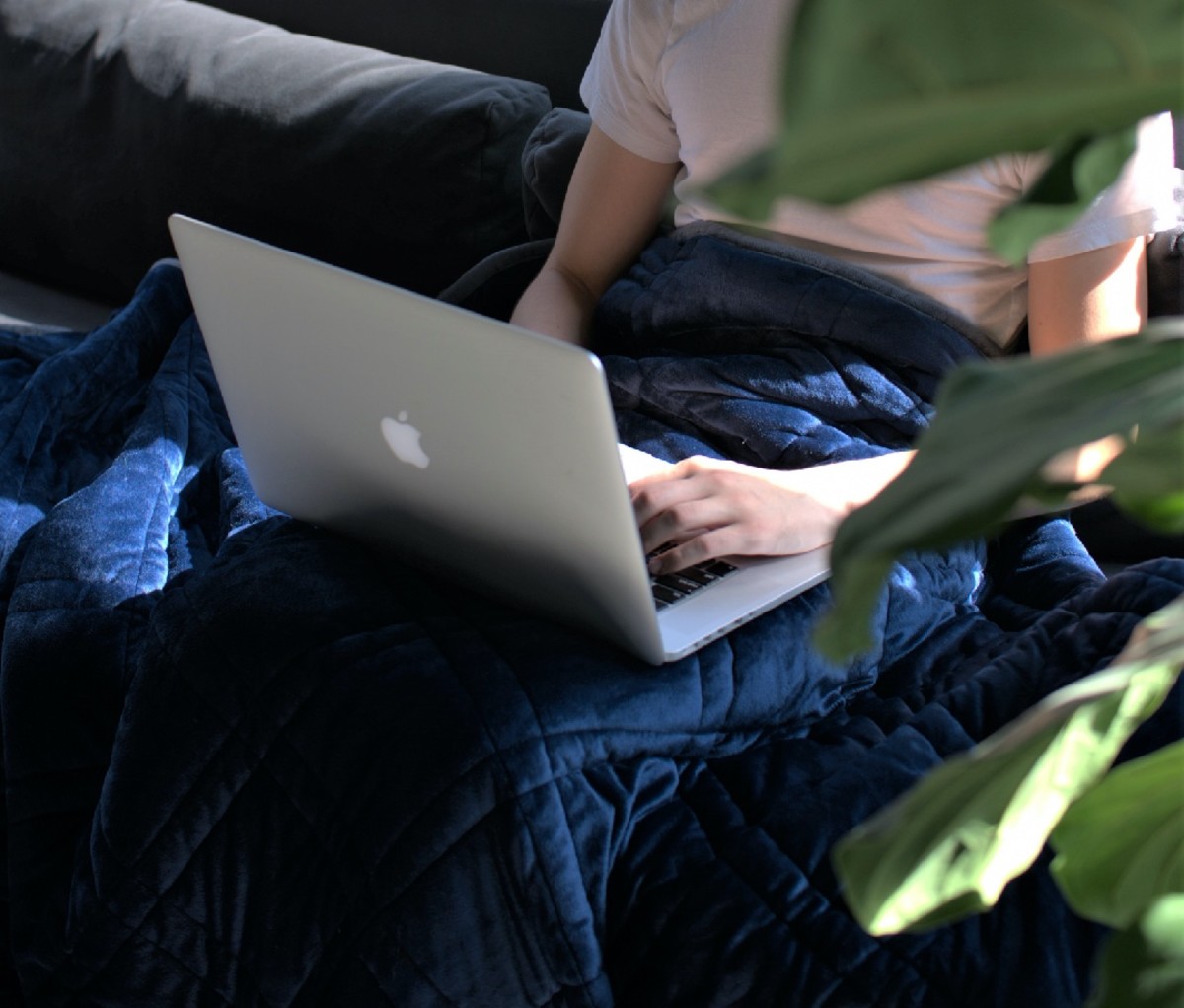 The Minky Weighted Blanket