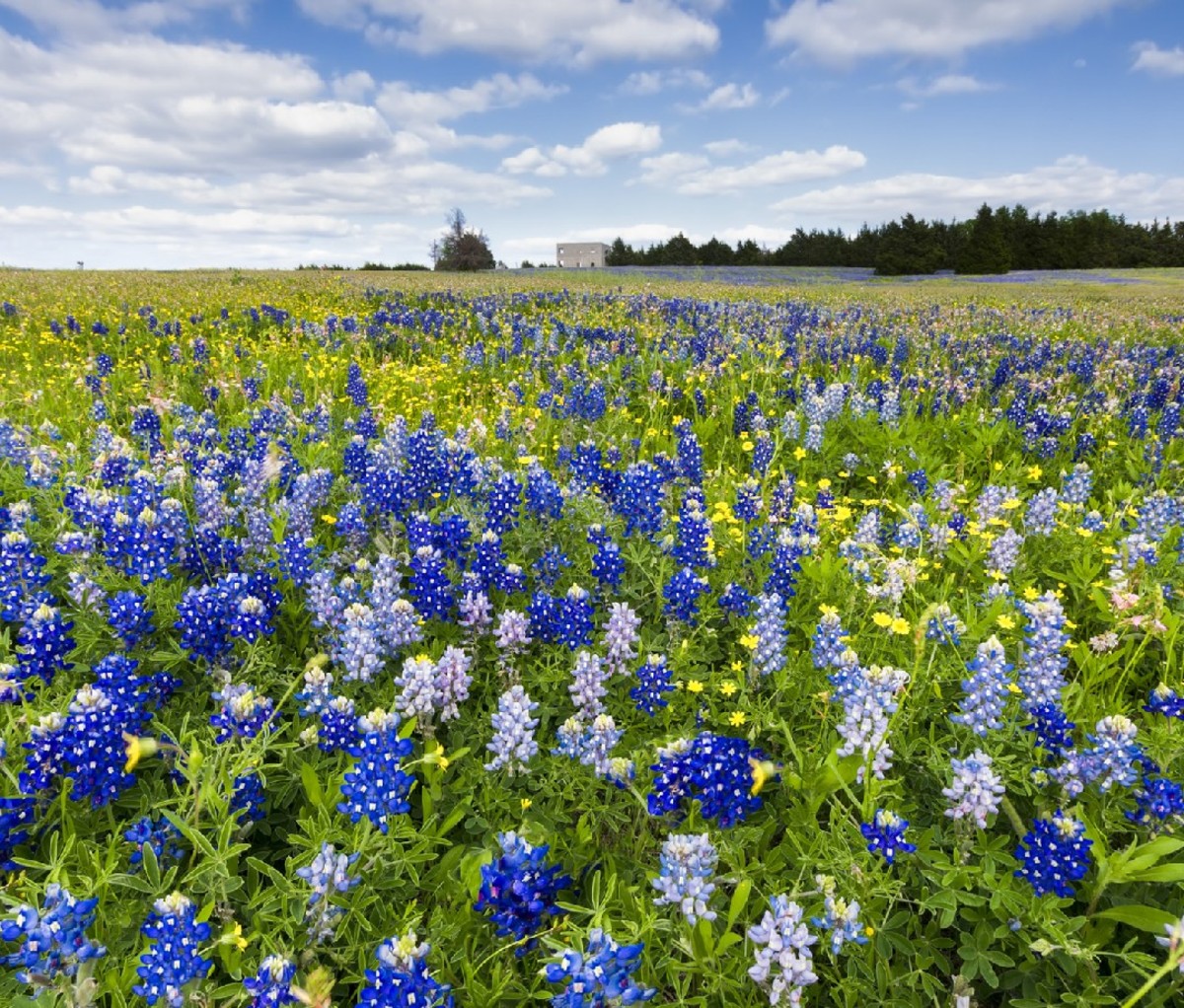 Round Top, Texas