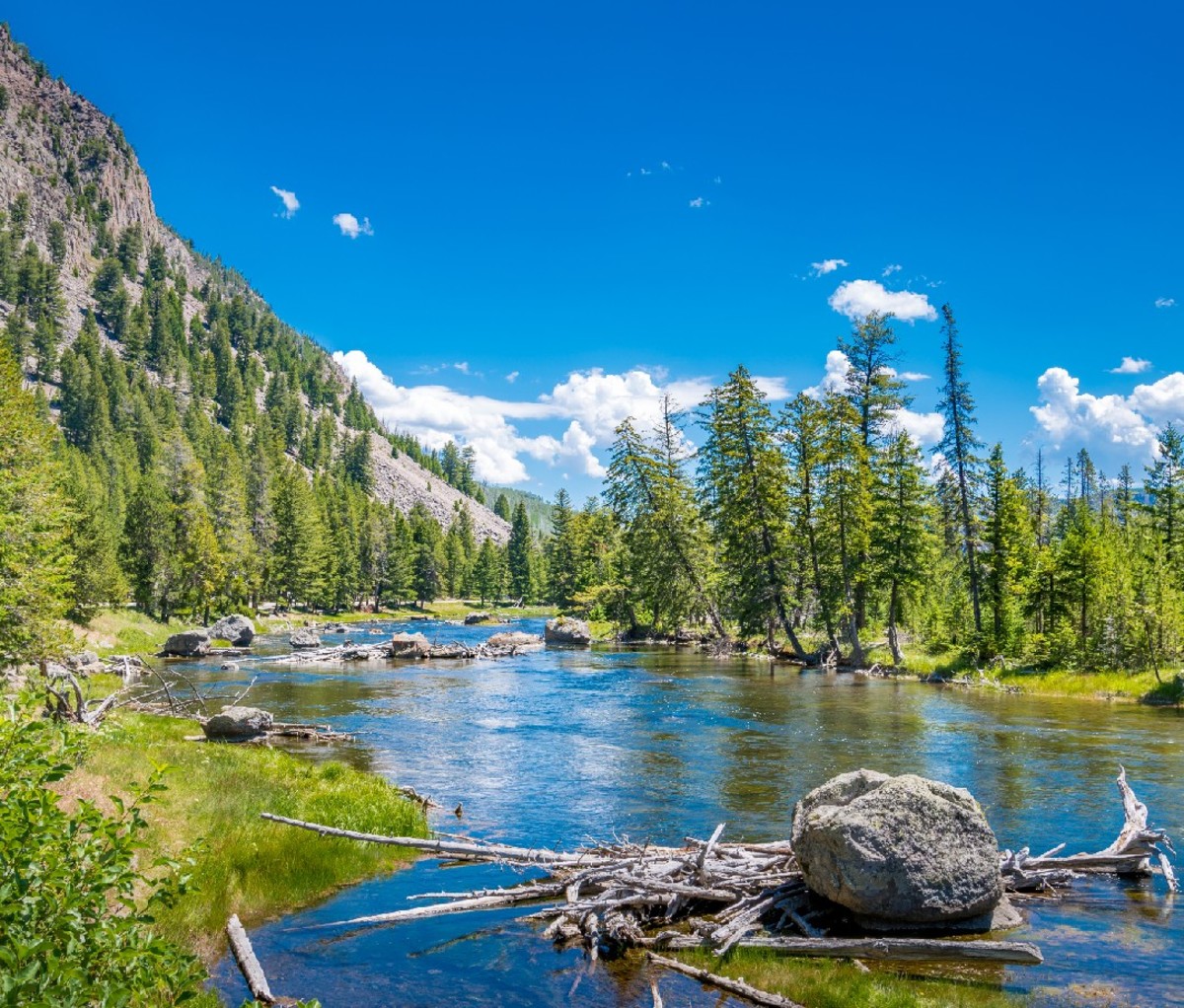 Yellowstone National Park