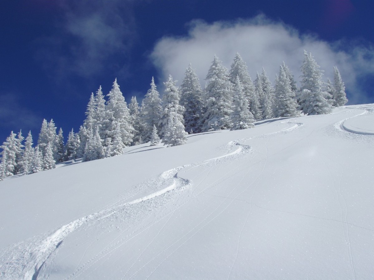 Vail Ski Day Powder