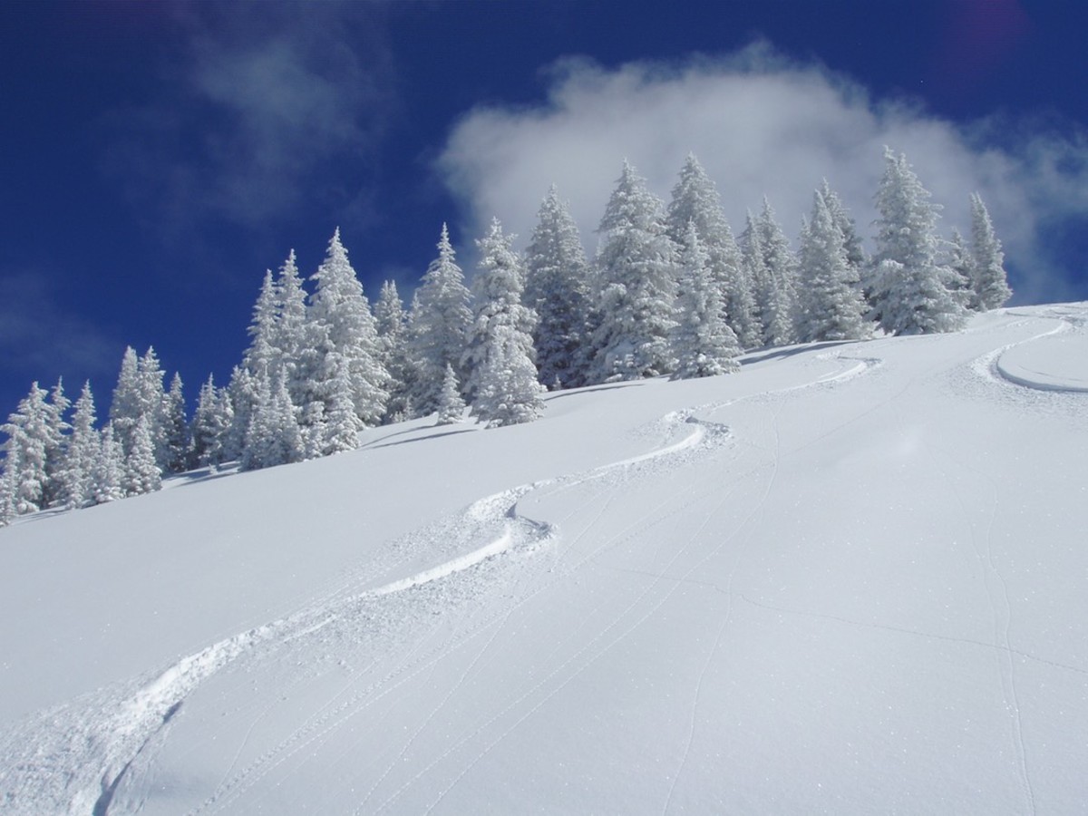 vail powder day skiing