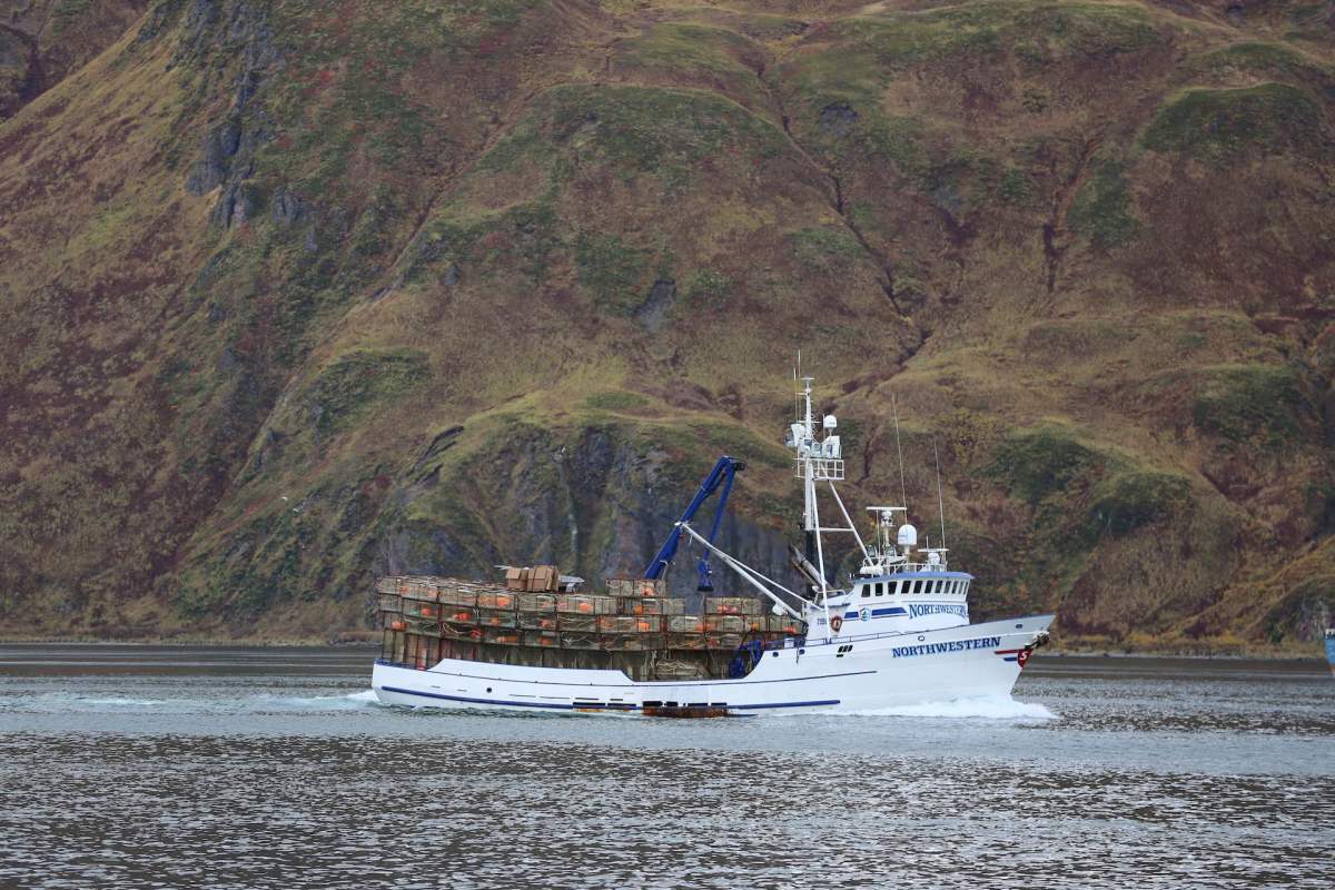 The deadliest catch