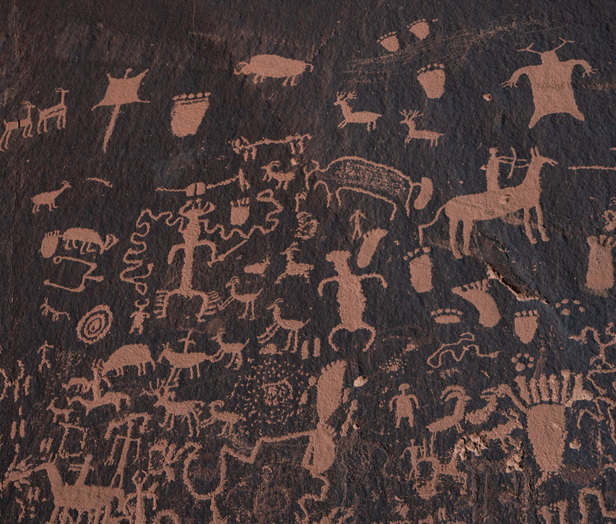 Cave paintings at Newspaper Rock.
