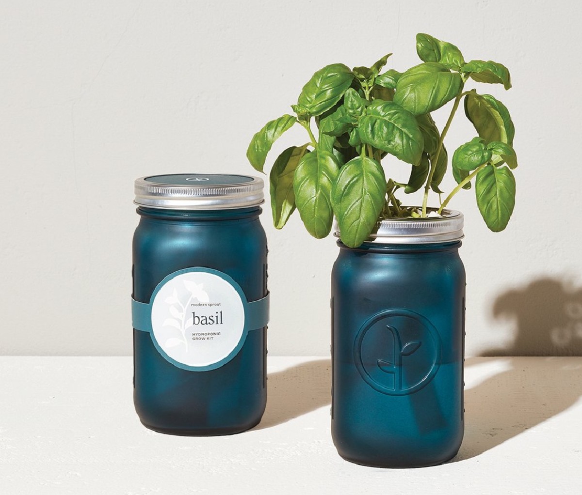 Modern Sprout Organic Herb Garden Jar Set