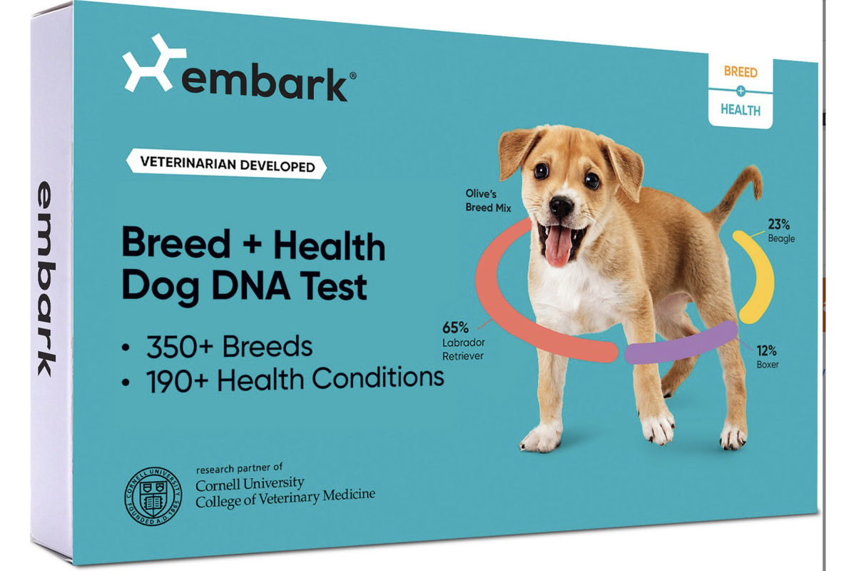 Dog DNA Test