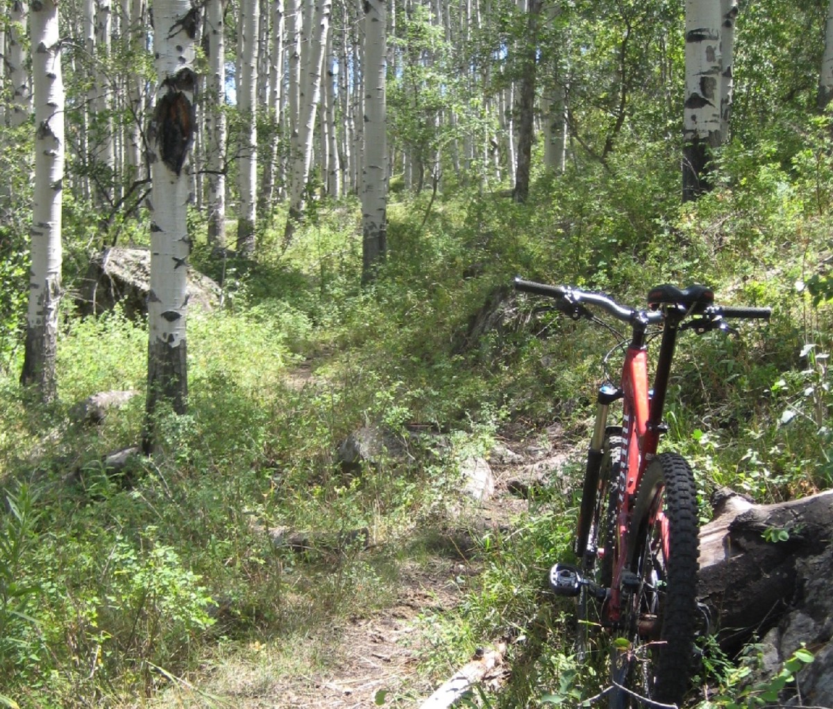 Ride the Palisade Plunge trail in Palisade, Colorado
