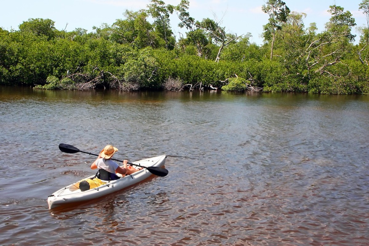 Kayaking Darling Wildlife Refuge Sanibel FLA