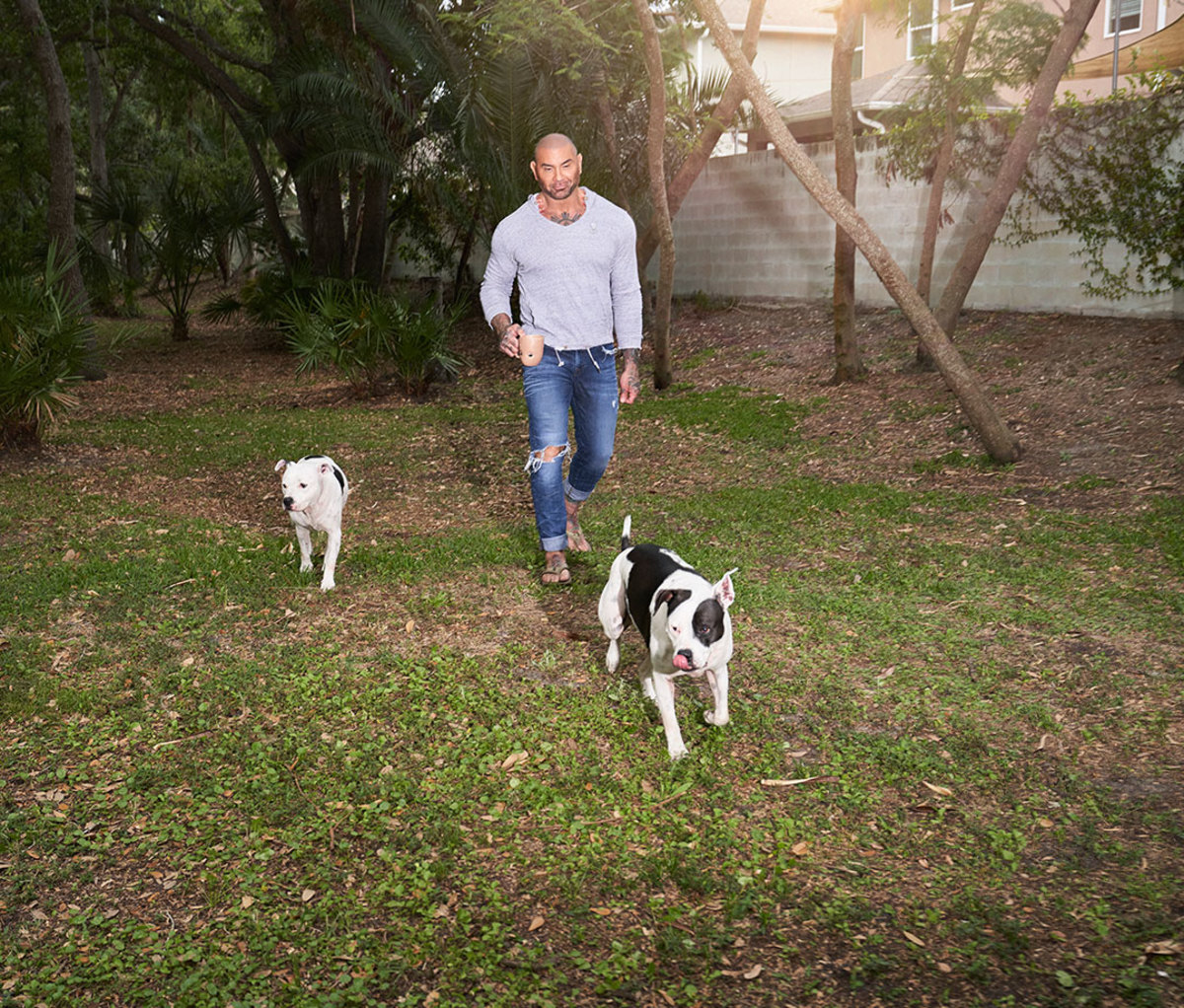 Dave Bautista walking pit bull mixes in backyard on grass.