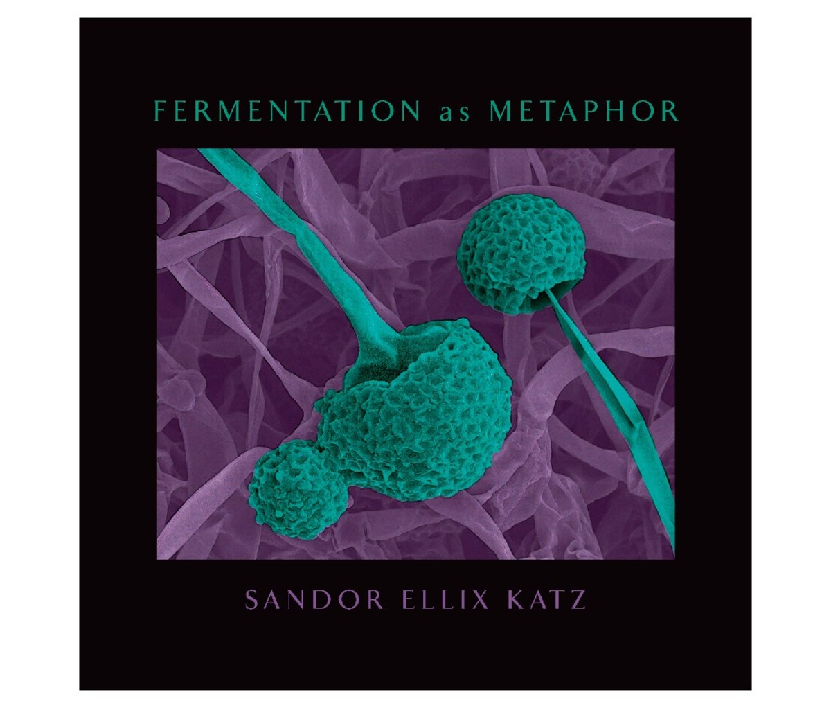 Fermentation as Metaphor by Sandor Katz