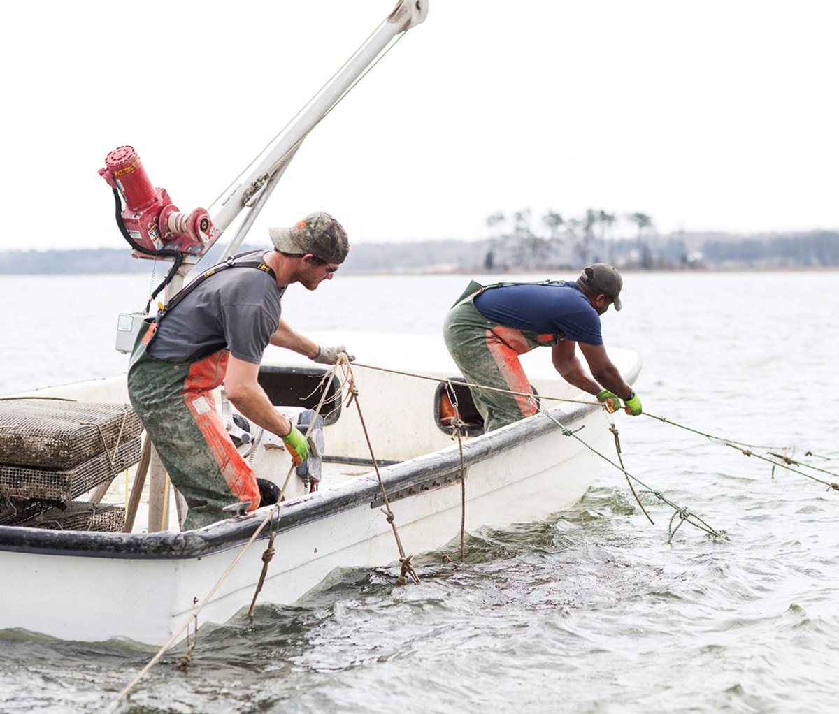 Two oystermen hauling up oyster grow cages from water on boat