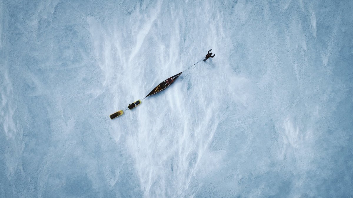 Steger Antarctica