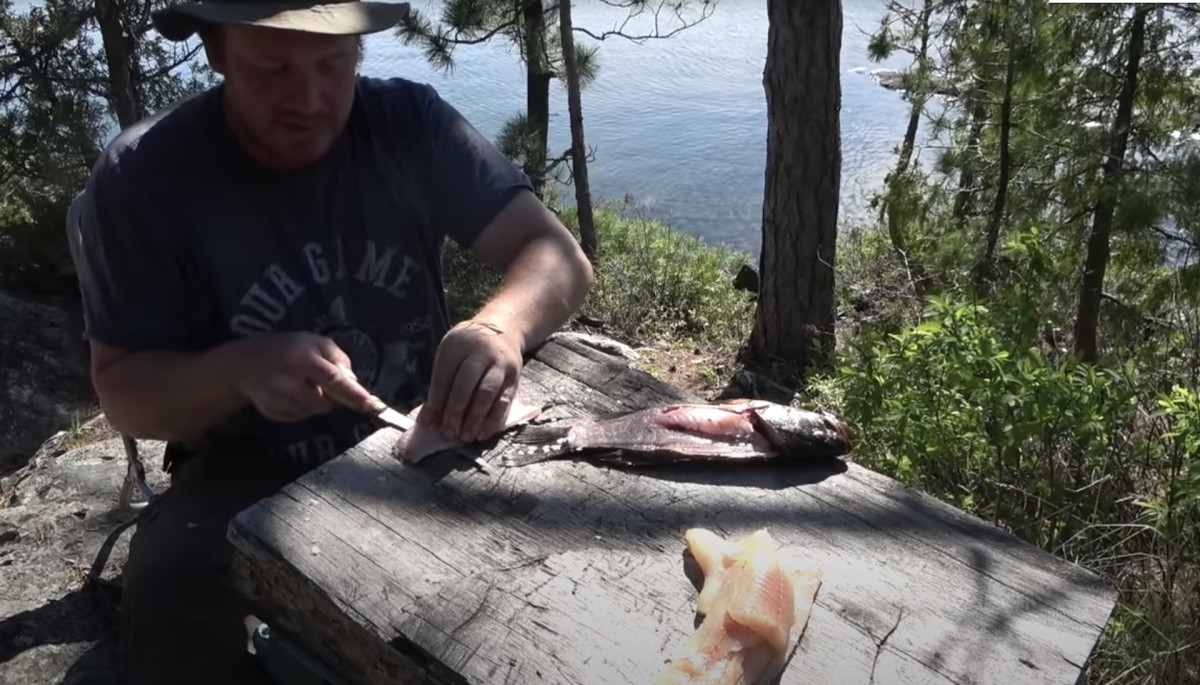 skin off fish