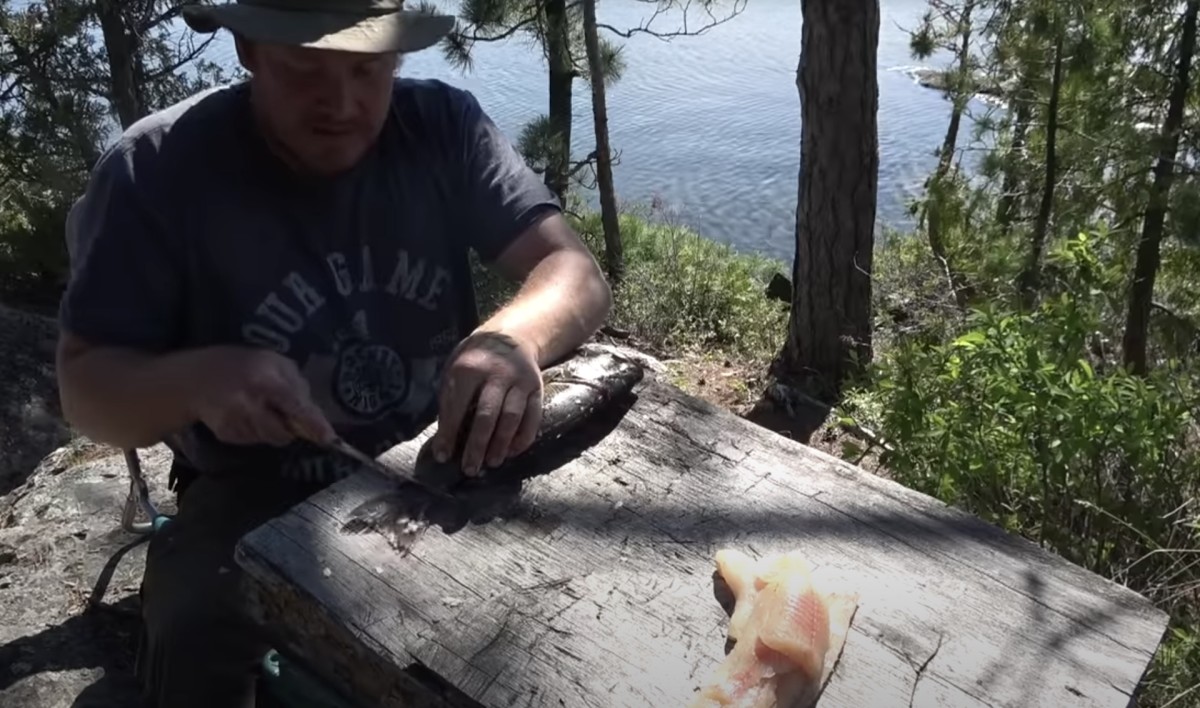 Fillet cut at tail