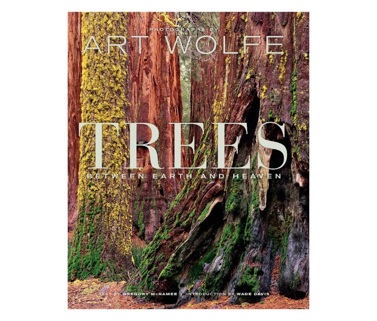 Trees: Between Earth and Heaven by Gregory McNamee (author) and Art Wolfe (photographer)